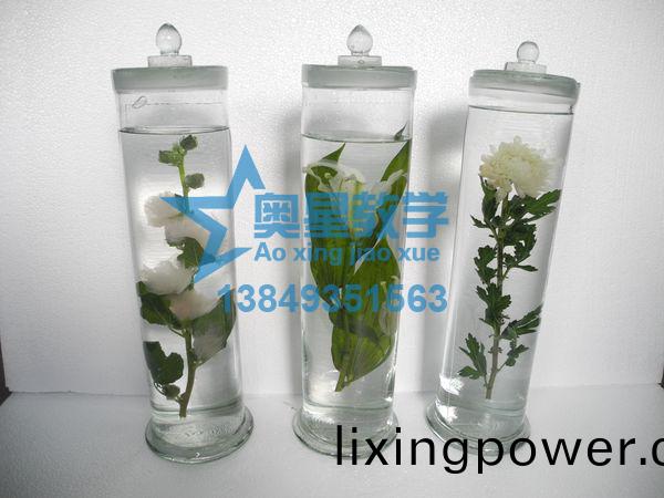 植物學(xue)標(biao)本(ben)廠(chang)傢：處(chu)理植(zhi)物標本的註意事項