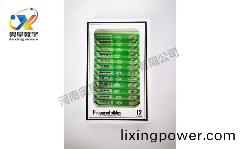 兒童(tong)塑料(liao)切片(pian)