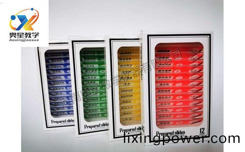 兒(er)童(tong)塑料切片(pian)