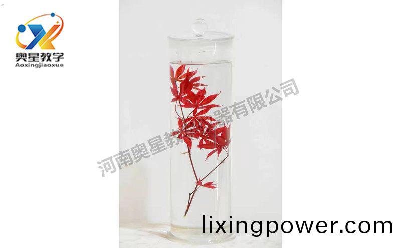 浸(jin)漬標(biao)本