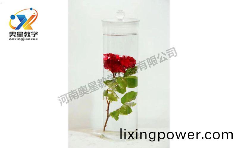 浸(jin)漬標(biao)本