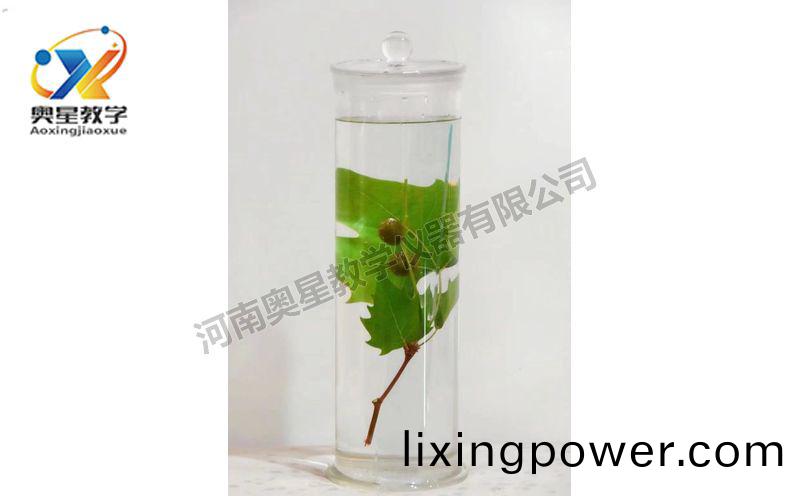 浸(jin)漬標(biao)本(ben)