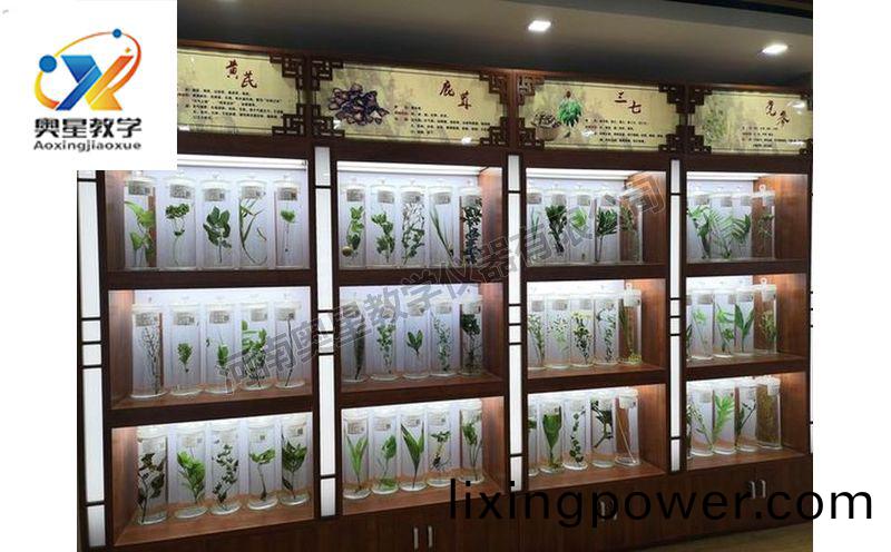 浸(jin)漬標本(ben)