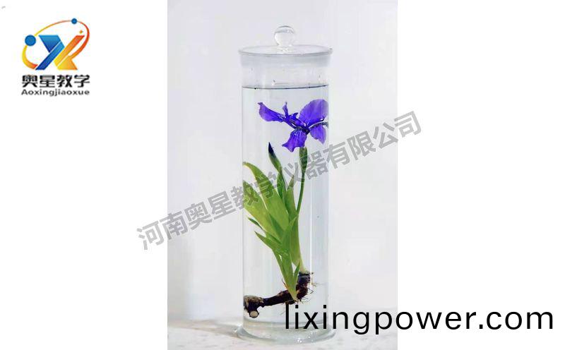 浸(jin)漬標(biao)本