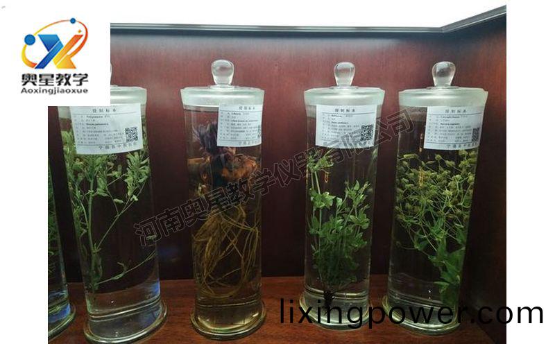 浸(jin)漬標(biao)本