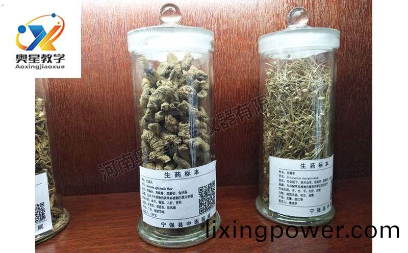 中(zhong)藥(yao)標本(ben)