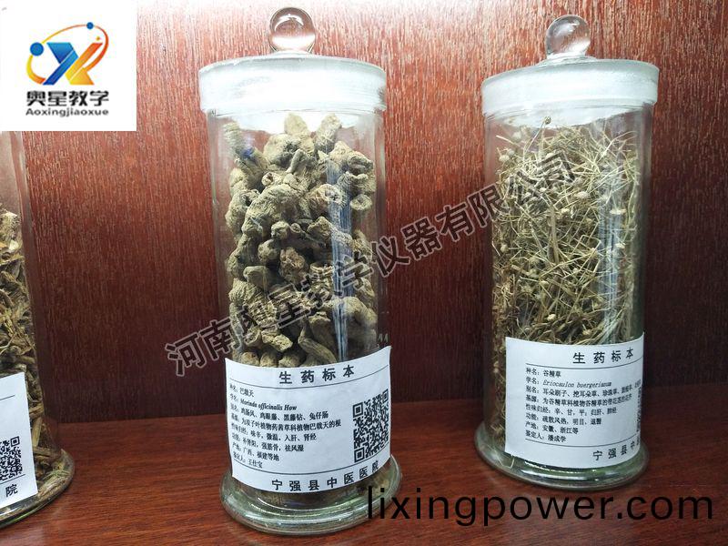 生(sheng)藥標(biao)本(ben)