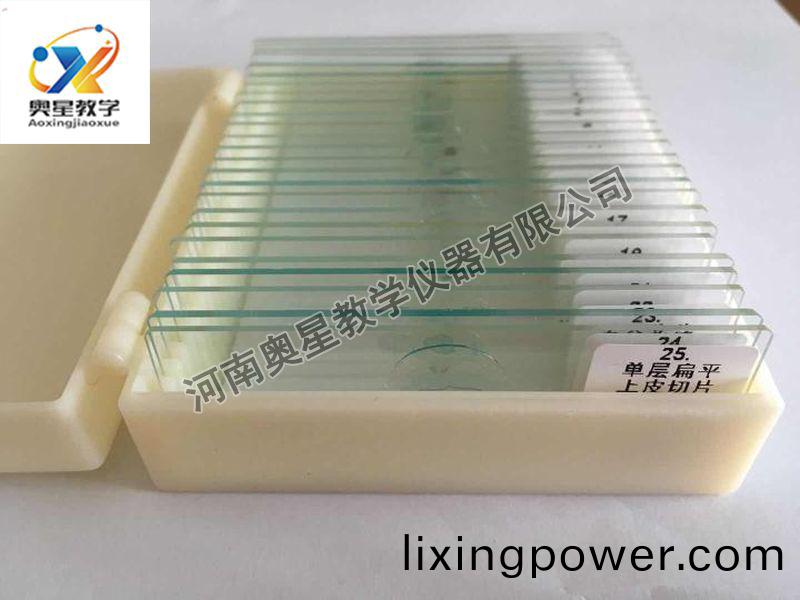 顯(xian)微(wei)鏡(jing)配(pei)套