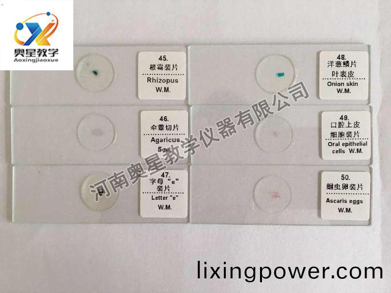 顯微(wei)鏡配(pei)套(tao)