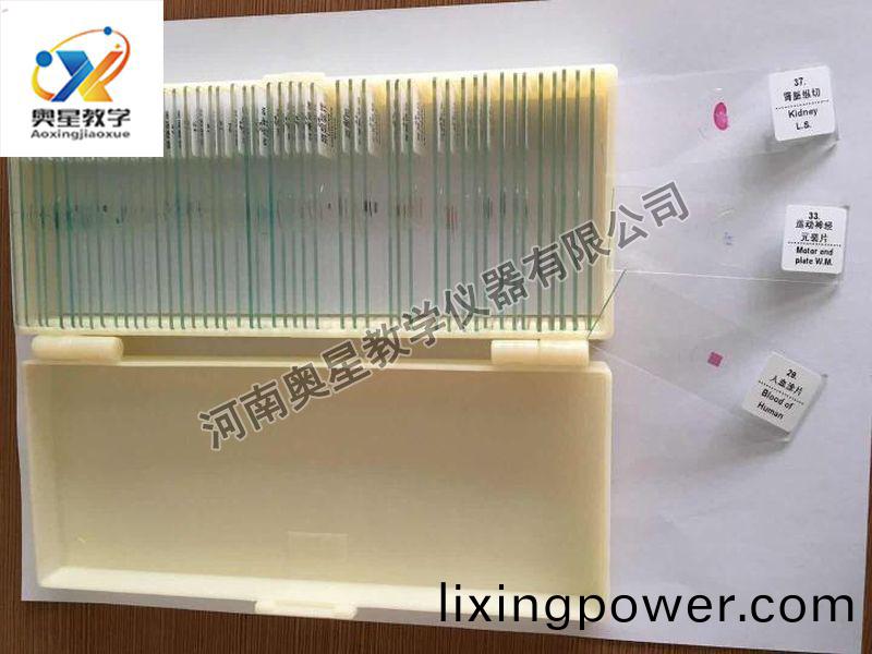 顯(xian)微鏡(jing)配套