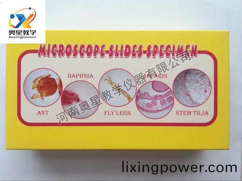 顯(xian)微鏡配套(tao)