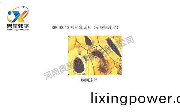 植(zhi)物(wu)學(xue)標(biao)本廠傢(jia)解析(xi)顯(xian)微(wei)鏡的(de)日常(chang)保養(yang)