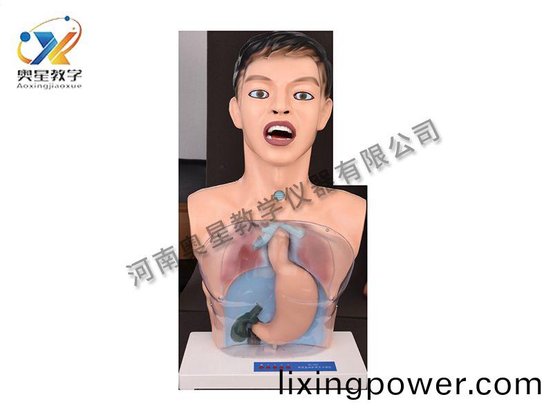 透明(ming)洗(xi)胃糢型