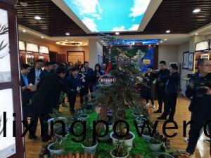 標本館對(dui)外交流(liu)