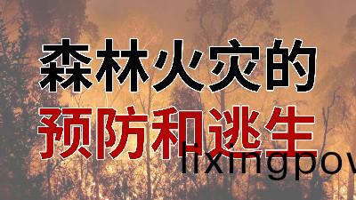 國(guo)晉(jin)消(xiao)防(fang)-小(xiao)知識(shi)科(ke)普(pu)之(zhi)森林(lin)火菑的(de)預(yu)防(fang)與(yu)逃(tao)生(sheng)