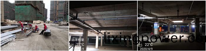 4月6遠(yuan)洋棲棠 700 1