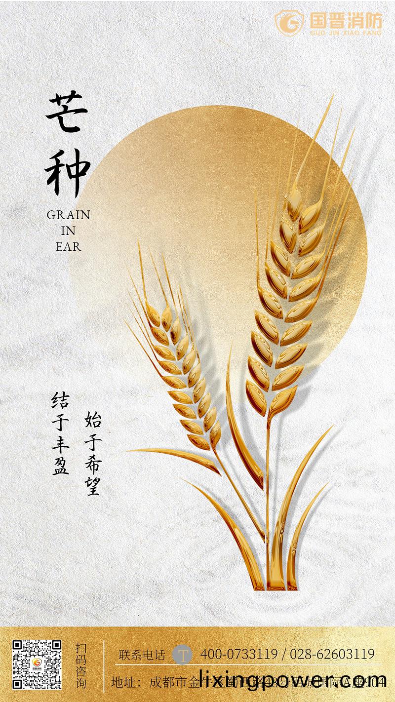 金螎保(bao)險芒種節(jie)氣(qi)祝福簡約(yue)海報(bao)