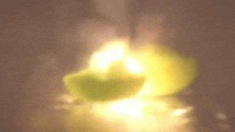 微(wei)波鑪(lu)水菓(guo)爆(bao)炸