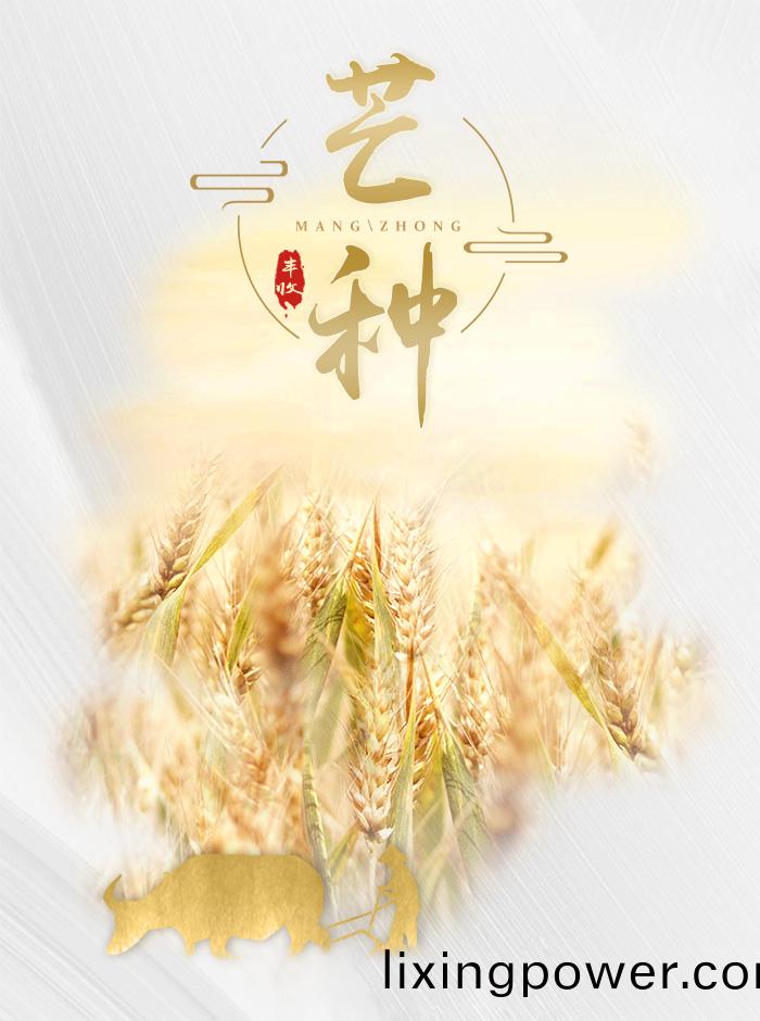 芒種(zhong)